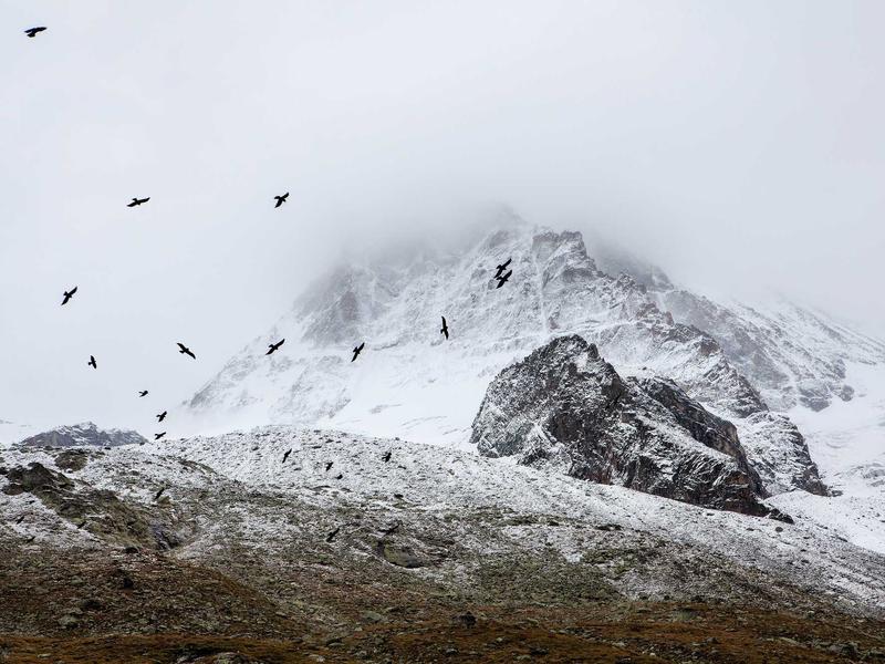 sudoku high contrast screenshot 1